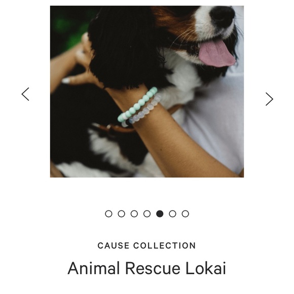 Animal Rescue Lokai - Picture 8 of 10